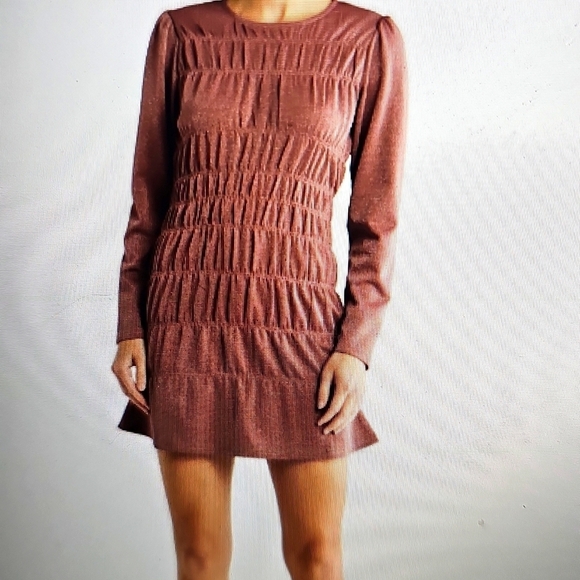 Lumiere Dresses & Skirts - NWT Lumiere Metallic Long Sleeved Shirred Minidress Shimmery Sparkly Mauve Large